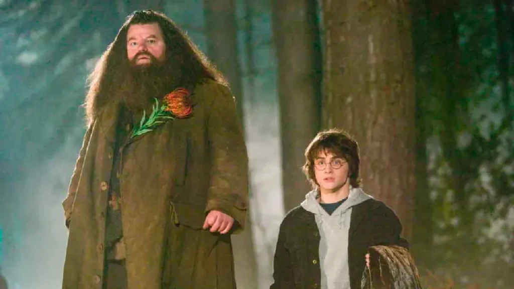 Rúbeo Hagrid - Harry Potter