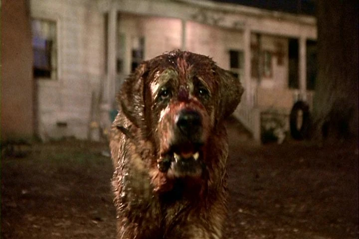 Cujo_filme de Stephen King